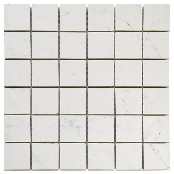 Lithe Carrara Giola 2x2 Matte