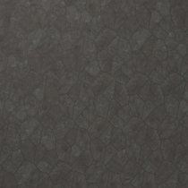 Motley Charcoal Black Organic Pattern