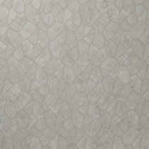 Motley Silver Gray Organic Pattern