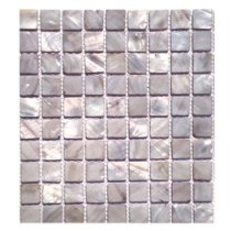 Pearl Mist Gray Flat 1x1 Squares