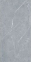 Armani Grey 48×111 (Polished)